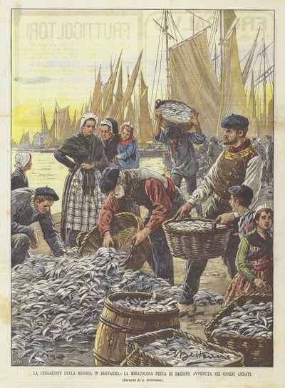 The End of Misery in Brittany, The Miraculous Sardine Catch of Recent Days by Achille Beltrame